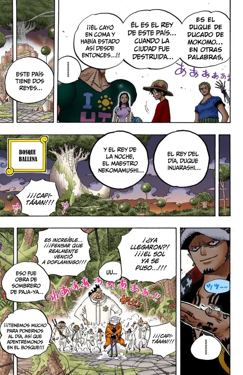 One Piece Capítulo 807 - Page 16