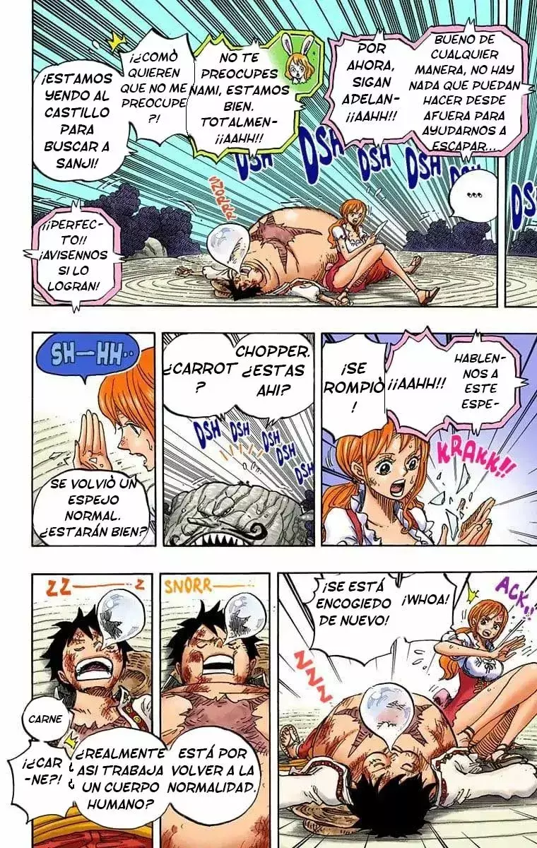 One Piece Capítulo 843.5 - Page 10