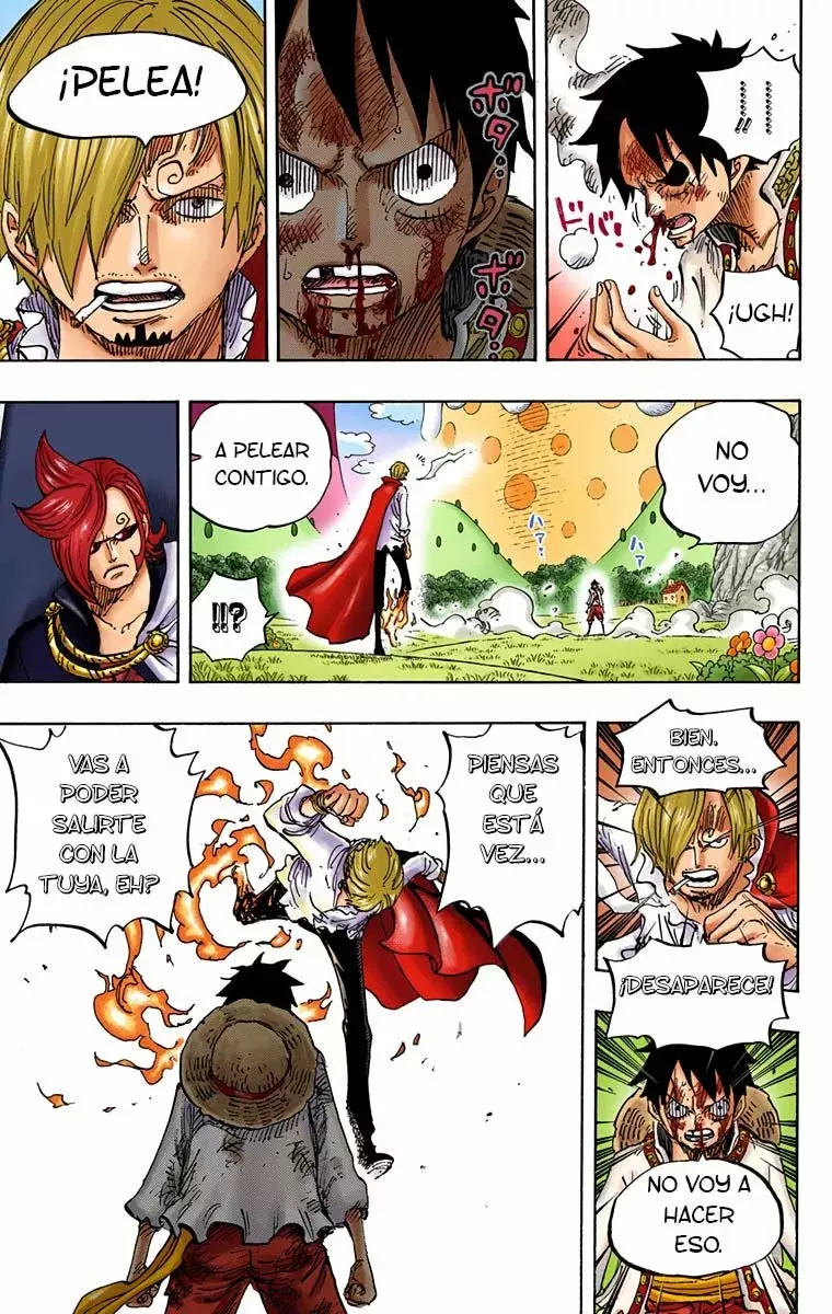 One Piece Capítulo 844.5 - Page 7