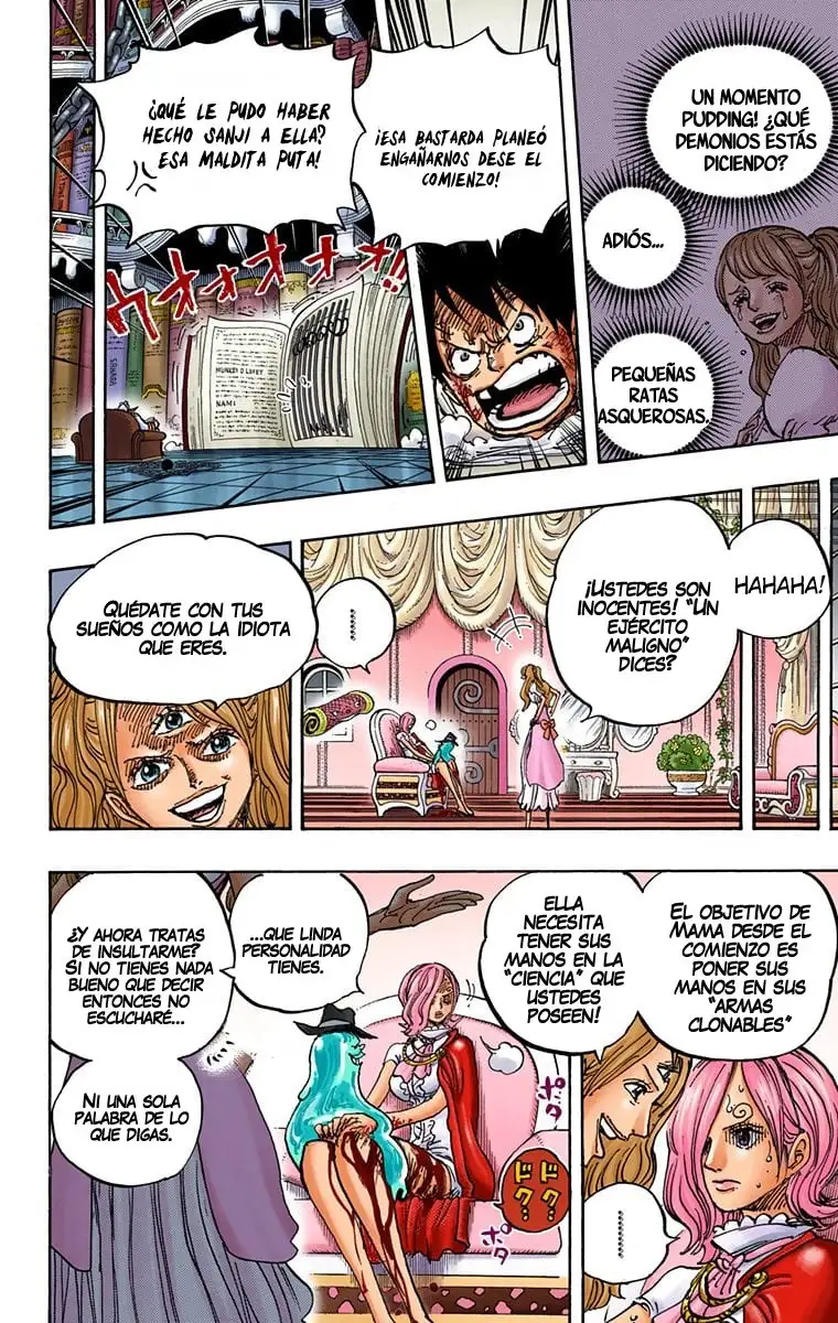 One Piece Capítulo 850 - Page 16