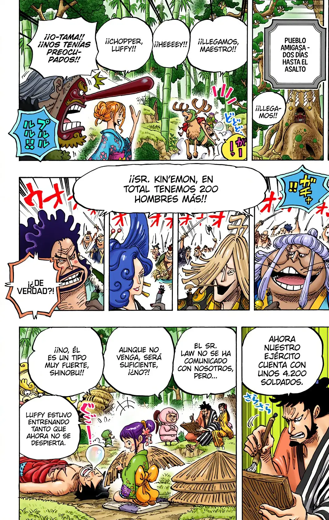 One Piece Capítulo 955 - Page 10