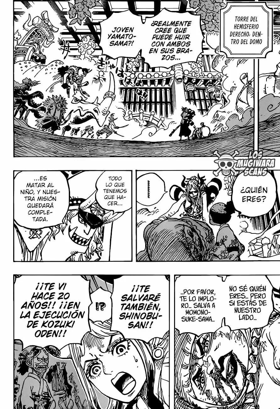 One Piece Capítulo 994.5 - Page 14