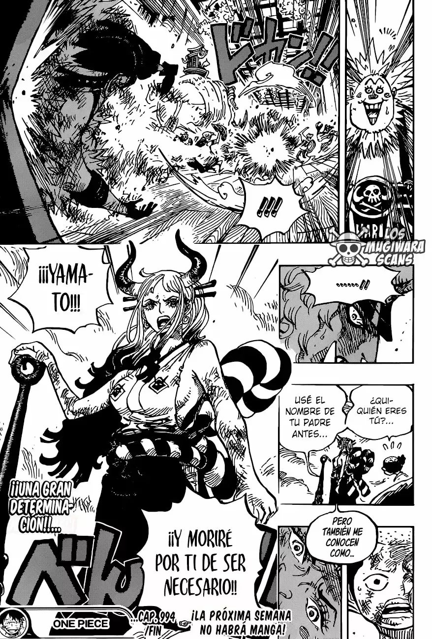 One Piece Capítulo 994.5 - Page 17