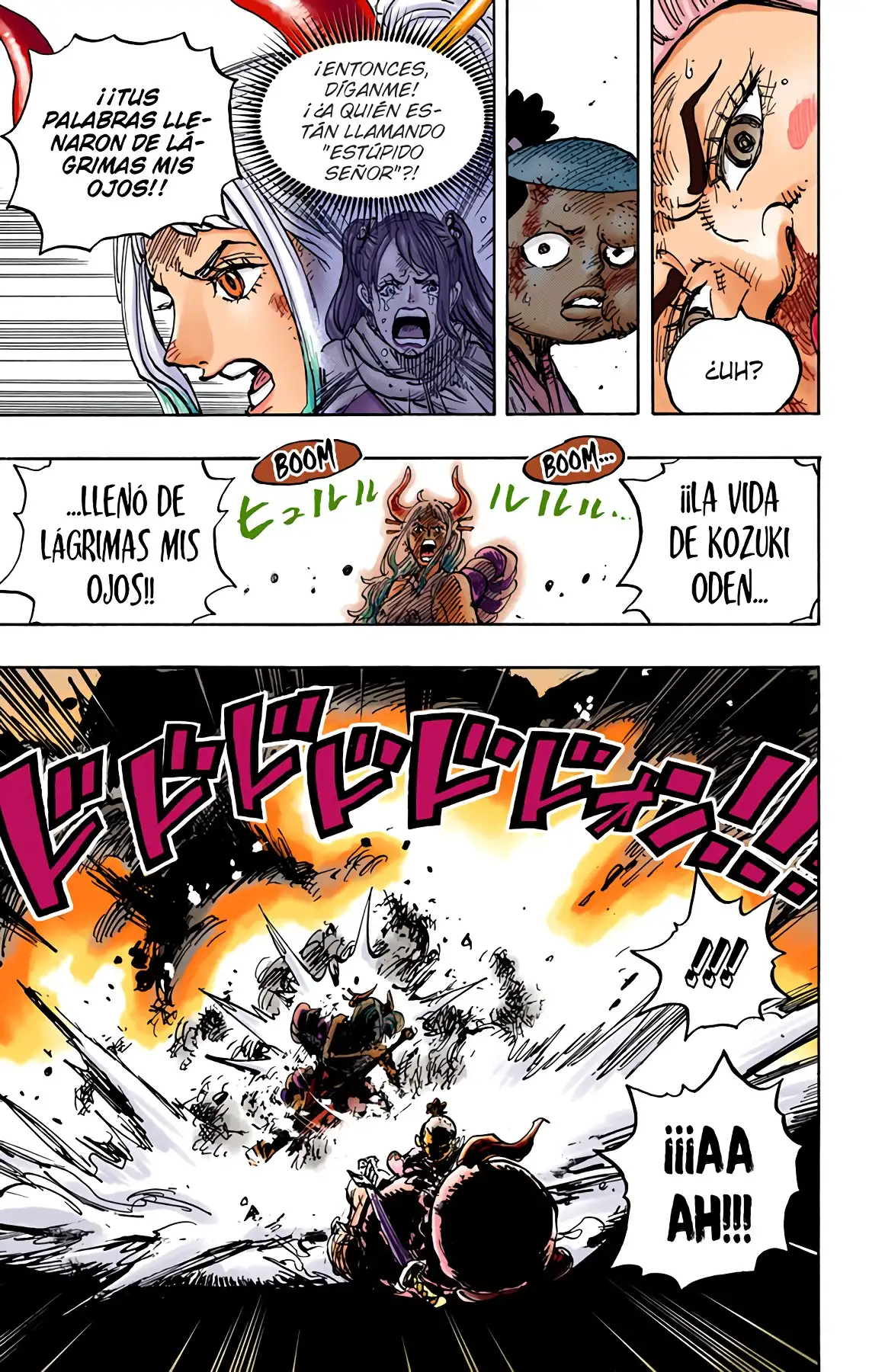 One Piece Capítulo 994 - Page 14