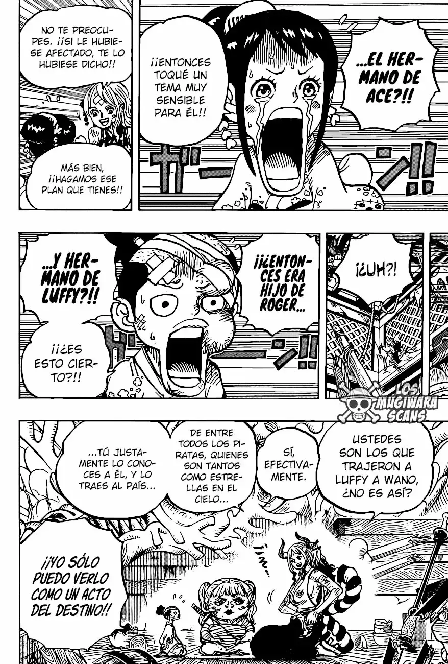 One Piece Capítulo 999.5 - Page 17