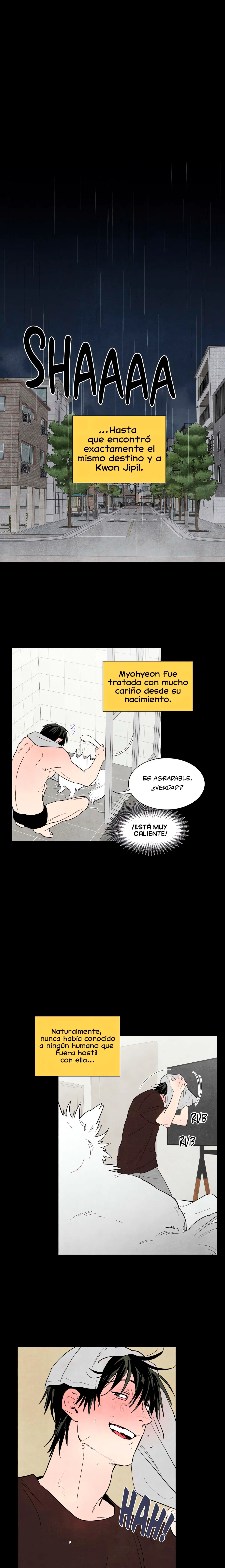 Házme ronronear Capítulo 1 - Page 8
